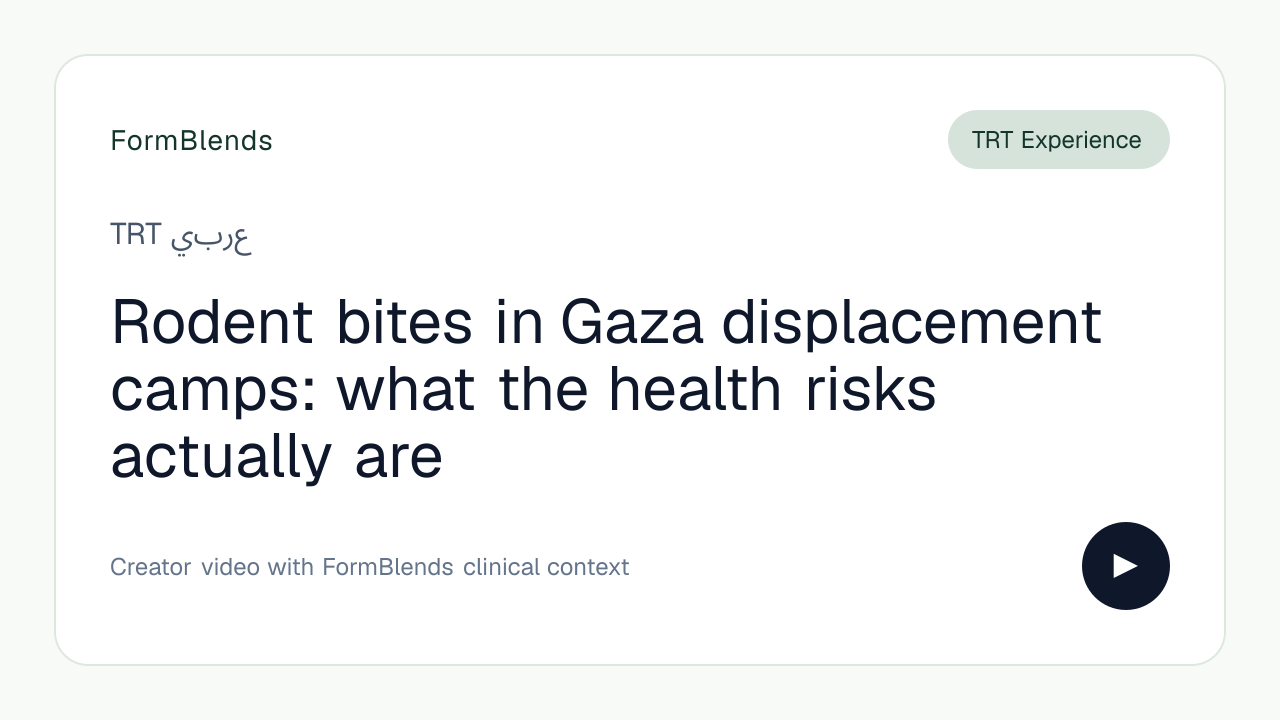 Rodent bites in Gaza displacement camps: what the health risks actually are