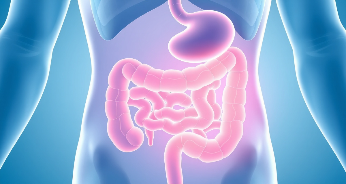Medical illustration of human digestive system showing GLP-1 hormone release from gut