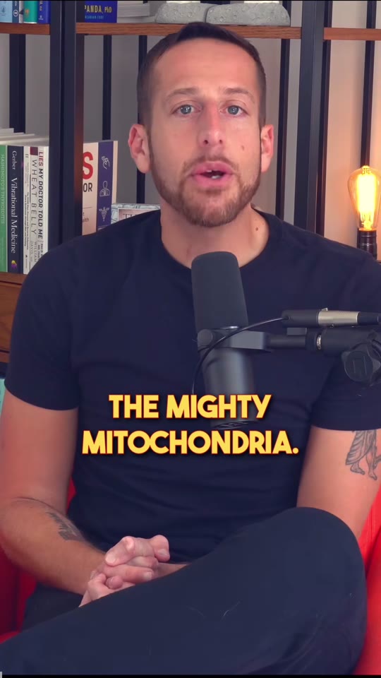 Mitochondrial health hacks on TikTok: what the science supports