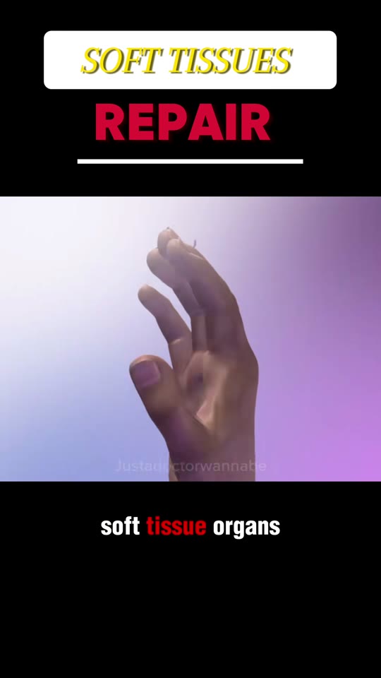Soft tissue repair claims: what peptide science actually shows