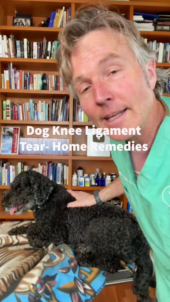 Can BPC-157 or TB-500 really heal a dog's torn ACL at home?