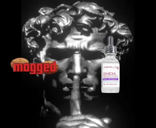 Dihexa and 'synaptic rewiring': what the hype gets wrong