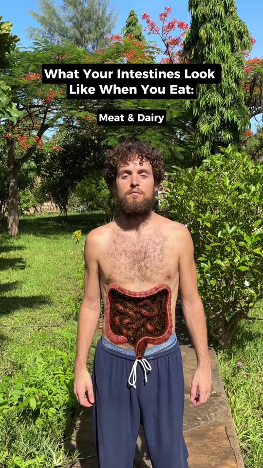 Does a 'dirty gut' actually cause mental health problems?