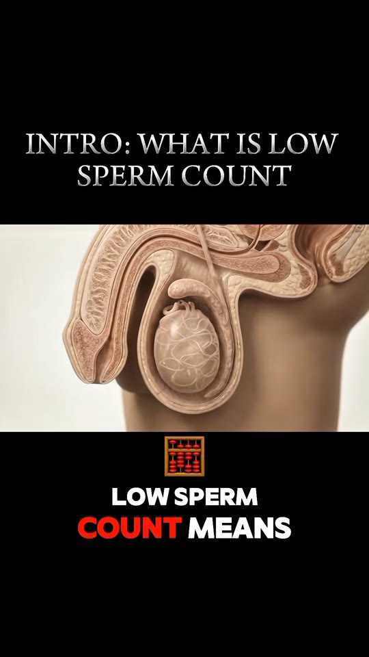 Low sperm count on TikTok: what the science actually says